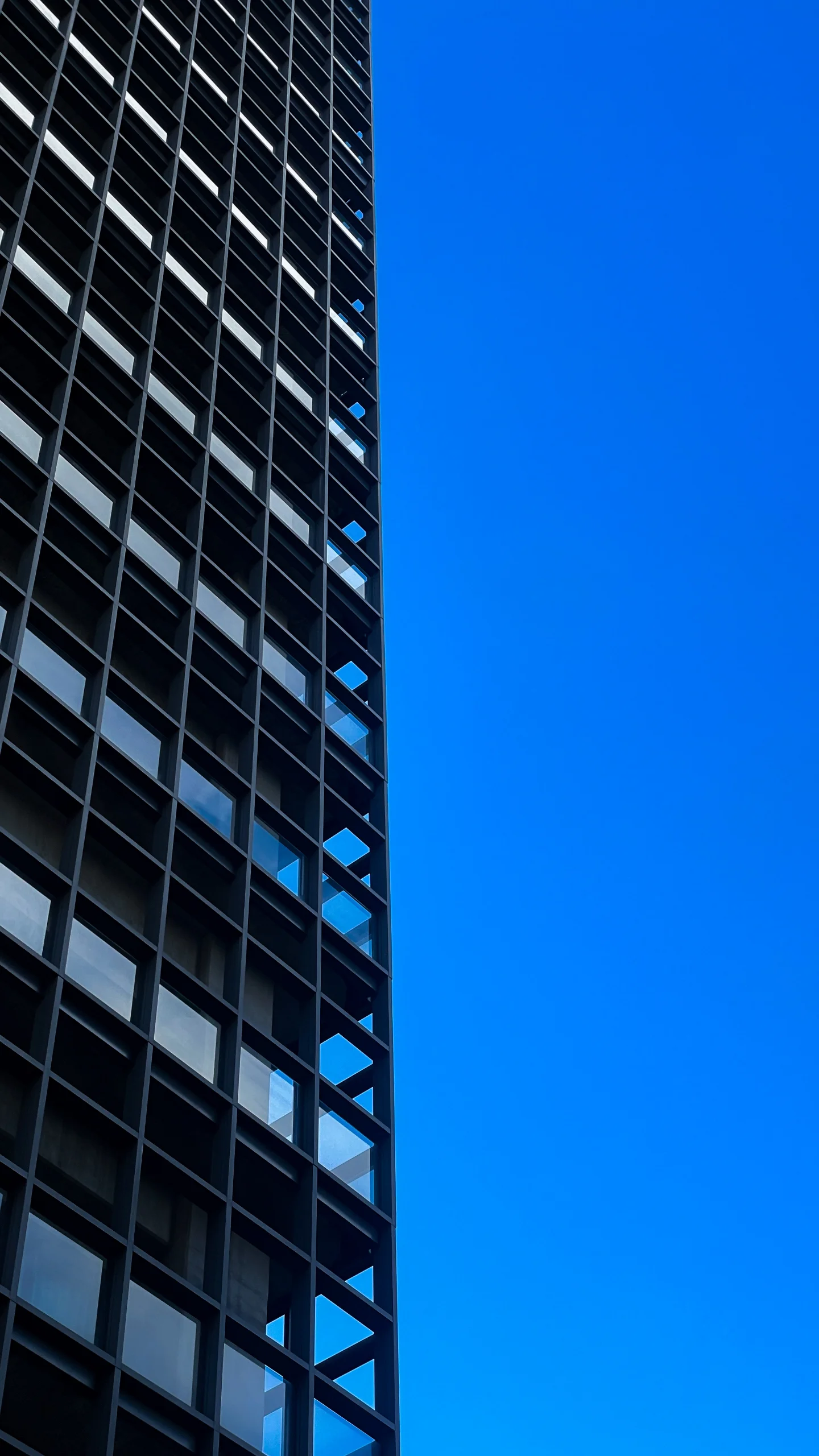 IMG_8105